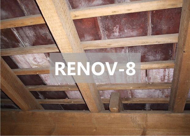 Renov-8